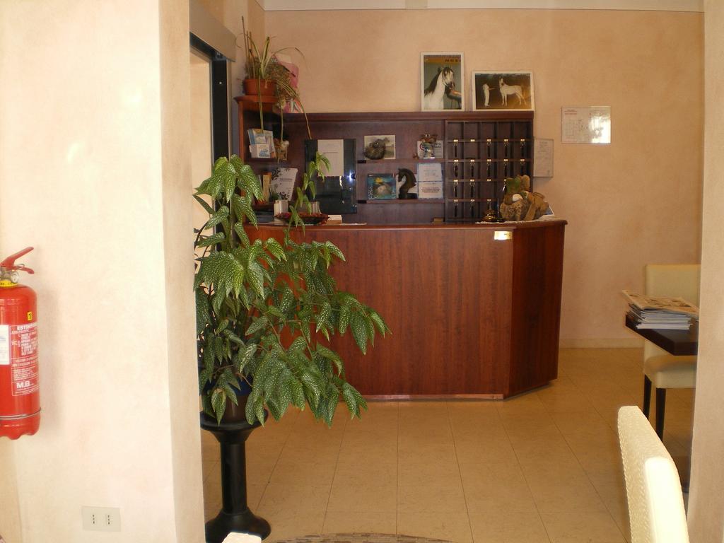 Hotel Oasis Marina di Ravenna Eksteriør billede